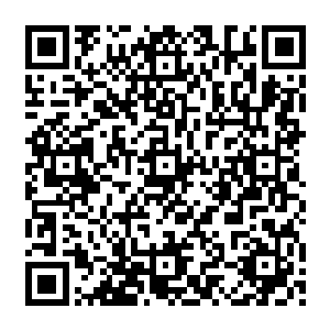 毕竟它们也确实太过于逆天了一些的……秦方显然不可能无缘无故就让这些弑神虫复苏的二维码生成