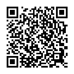 毕竟宝山印没有我石家的血脉配上特殊的秘法根本就无法施展二维码生成