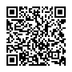 毕竟对于这些在各自领域已经获得了巨大成就的医学专家而言二维码生成