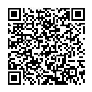 毕竟就算是他再天才也不可能这么快将修为提升到如此恐怖的程度二维码生成