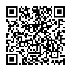 毕竟平时张璐涵平时都是一副天塌下来都满不在乎的模样二维码生成