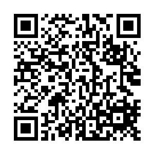 毕竟廖辽和何润卿都是那种单周销量能刷到五六万张的大咖二维码生成