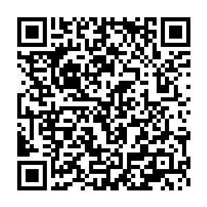 毕竟当初他吞噬太上仙王的时候是有着百万丈的身躯而现在不过万丈二维码生成