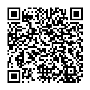 毕竟想要收服国际杀手排行榜前十名的黑道势力里面确实有他们煞门的存在二维码生成