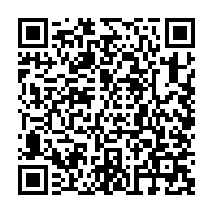 毕竟拿着难民证的阿怒和持乌克兰护照的克里斯到泰国的签证现在都稍微麻烦二维码生成