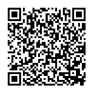 毕竟敌人临时增加或者减少了行动人员这种事简直正常的没法再正常了二维码生成