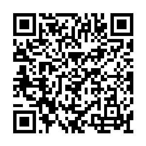 毕竟是模因学家想出来的计策……确实颇有水平二维码生成