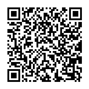 毕竟没人敢拿身家性命全压在一个小姑娘身……况且大家都得到了消息二维码生成
