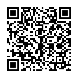 毕竟熊蛋有着一层厚厚的脂肪和厚实的皮毛做缓冲都伤痕累累二维码生成