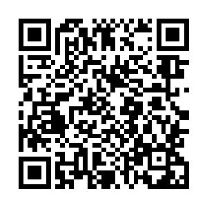 毕竟现在在北美联赛的lmq战队就是一支咱们lpl过去的队伍二维码生成