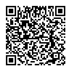 毕竟现在无论是新一代还是老一代巨龙能够胜的了他的没有几个人了二维码生成