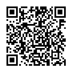 毕竟皮肤和脸某种程度上都诚实的反映着身体的内脏情况二维码生成