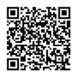 毕竟秦宇在试炼之路上所有人的印象只是得到了昆墟老祖的传承二维码生成