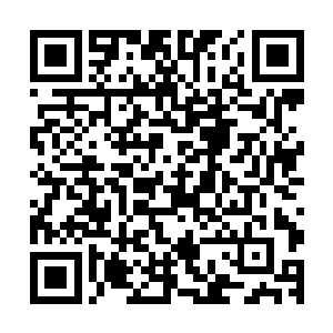 毕竟筑基期的突破与炼气期的突破引起的灵气波动是不一样的二维码生成