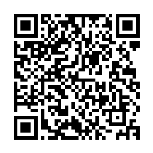毕竟罗建可是在接受学院磨练任务的情况下被自己打出手打伤的二维码生成