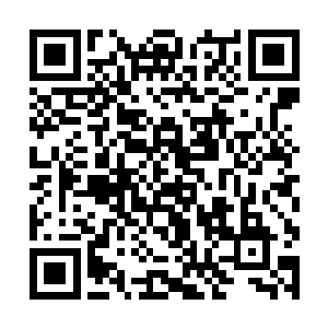 毕竟蛮荒军野战的能力他们今日已经亲生的经历过了二维码生成