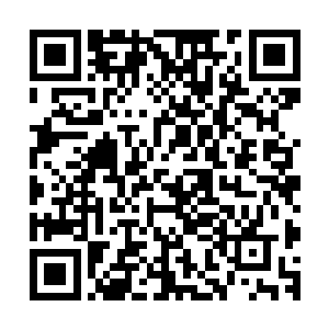 毕竟血衣大汉无论是身份实力还是见识都不是他们能够比拟的二维码生成
