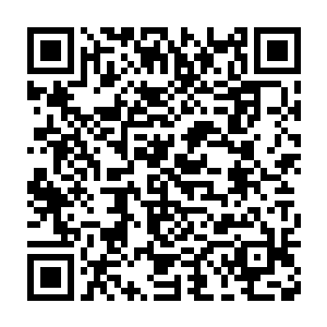 毕竟要是没有一定的实力的话根本就不可能开得起这么大的拍卖会二维码生成