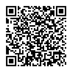 毕竟让人从无生有的拥有语言系统本就是件让人感觉不可思议的事情二维码生成