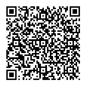 毕竟谁也无法肯定他究竟是因为缺了九天神宝而无法利用诸天神宝还是仅仅只是想要凑齐了再使用二维码生成
