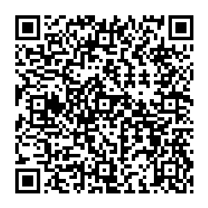 毕竟谁都能想象的到FBI绝对不会不专业到能够让一个嫌疑犯在牢房里使用电子设备还不被发现二维码生成