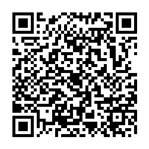 毕竟这个如同蜥蜴一般的大家伙可是会将他们的生命无情吞噬掉的存在啊二维码生成