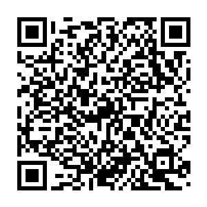 毕竟这家伙再强也无法在短时间内打破大将军和大护法组成的防御二维码生成