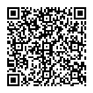 毕竟这样高强度的历练他们已经持续了很多年~~跟那些被养在深闺的天才公子们完全不同二维码生成