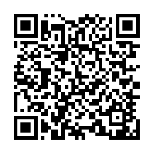 毕竟这种拍摄这种全新电影的技术现在由星空娱乐独家代理二维码生成