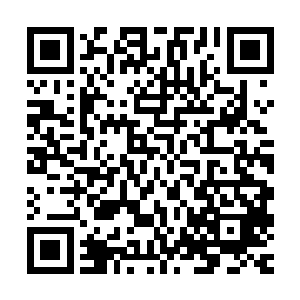 毕竟进入到无尽森林内的那些是世俗中的力量已经死得差不多了二维码生成