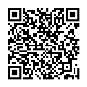 毕竟镇云歌的制造过程可不是一股脑把一群厉害真仙丢一起二维码生成
