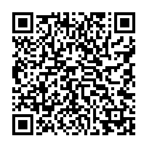 毕竟陈清刚才可是瞬间秒掉对方的adc让对方的上单大树迫不得已下来保护adc二维码生成