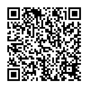 毕竟魔族的顶级神后期的高手完全不是人类中的顶级神后期可以比拟的二维码生成