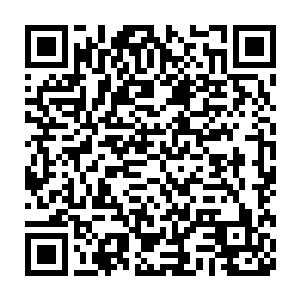 毕竟龙族传承了这么多代有些族人的身上的血脉已经变得极其的稀薄了二维码生成