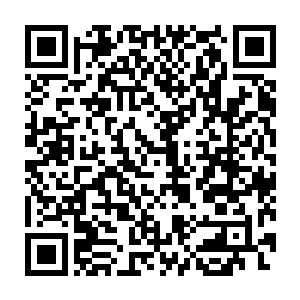 毫不犹豫的将阮有林那一张还算是比较秀气的脸庞狠狠的拍在了墙壁上二维码生成