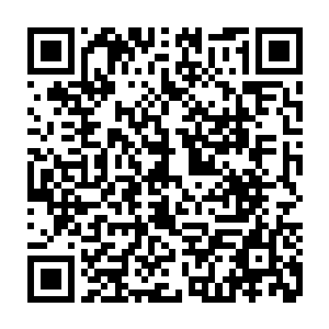 毫无悬念地就将缠在江少游身上的那十数条水草似的触手全部给咬折成了两半二维码生成