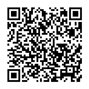 毫无疑问给居住在里面的人的感觉就仿佛是居住在了竹林当中一样令人惊叹二维码生成