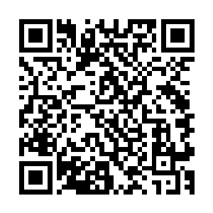 毫无疑问这个画面被森之林的叶迷们称为苏叶最美的画面之一二维码生成