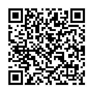 毫无非议的把一位豪绅及他的亲友绕进了衙门去二维码生成