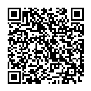 民主集中制被界定为――在民主基础上的集中和在集中领导下的民主二维码生成