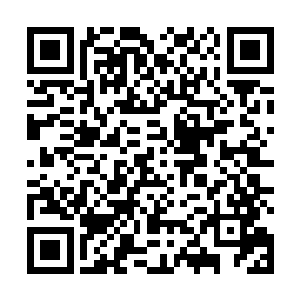 气泡和岩浆之间竟然还有数十朵模模糊糊的火焰在戏耍二维码生成
