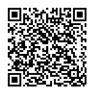 水中的大白鲨既便是土狗这么大的个头也不是随便什么鱼都可以欺压两下子的二维码生成