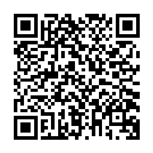 水无痕本还有些心痛把周家如此大的地盘和庞大资产划给林家二维码生成