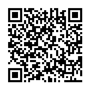 永昌帝的目光冷冷的打量着床榻上气息极不稳定的容锦二维码生成