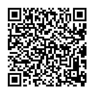 求实双语和树德国际教育这两个体育齿的专业建设和设备提供安装林钧也评估过二维码生成