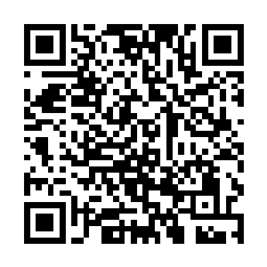 求求你……再给我一个机会……再给我一个机会……二维码生成