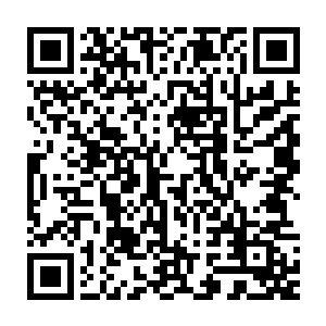 汇总归真阁这段时间以来所有被刺杀者的名单……梦无真的智囊们商议二维码生成