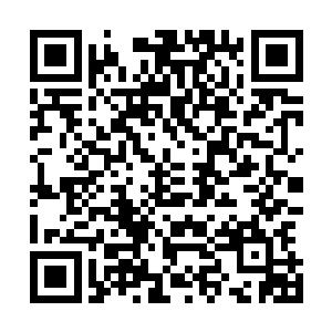 江南省电视台和江州市电视台都播出了下午录制的视频片段二维码生成