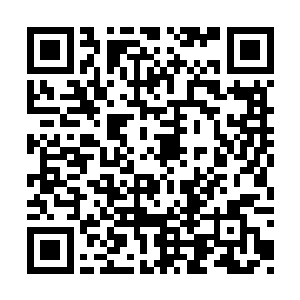 江少游再次无言相对……如果买回去你不开的话二维码生成