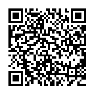 江少游闻言一阵张口结舌……原本他问小卢克是否看过很多书二维码生成
